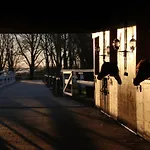 Residenz Kubitzer Bodden Ruegen Aparthotel
