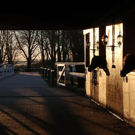 Luxus Ruegen Residenz Kubitzer Bodden Lägenhetshotell