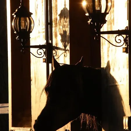 Luxus Ruegen Residenz Kubitzer Bodden Rambin